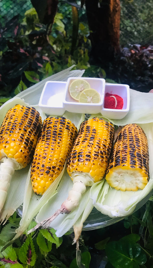 Bhutta