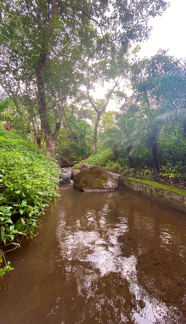 Natural stream