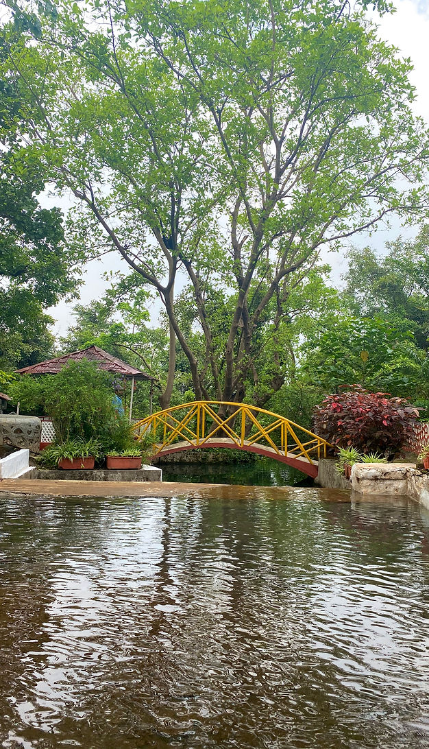 Natural stream
